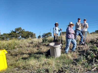 Volunteers Pulling Weeds