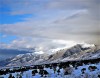 Snowy Mountains Looking North